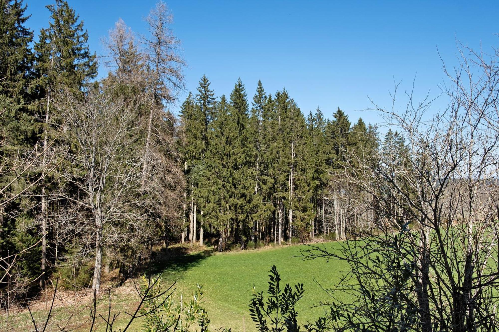 Ferienwohnung Schartenschmiede Sankt Georgen im Schwarzwald Zewnętrze zdjęcie